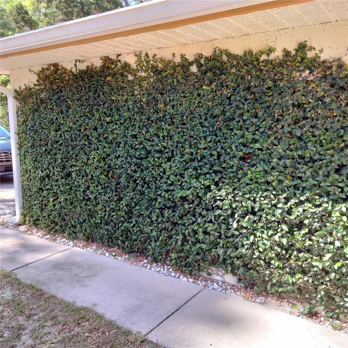805 HEMLOCK DRIVE
