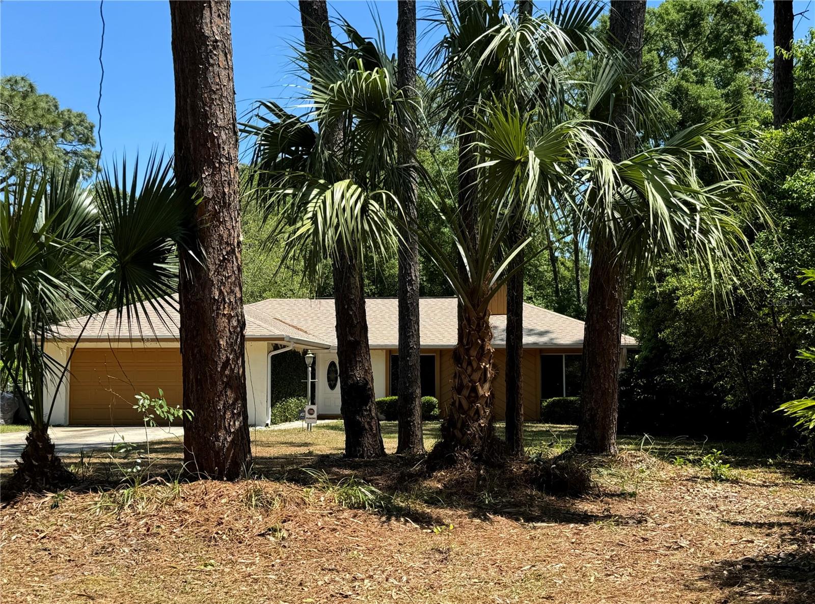 805 HEMLOCK DRIVE