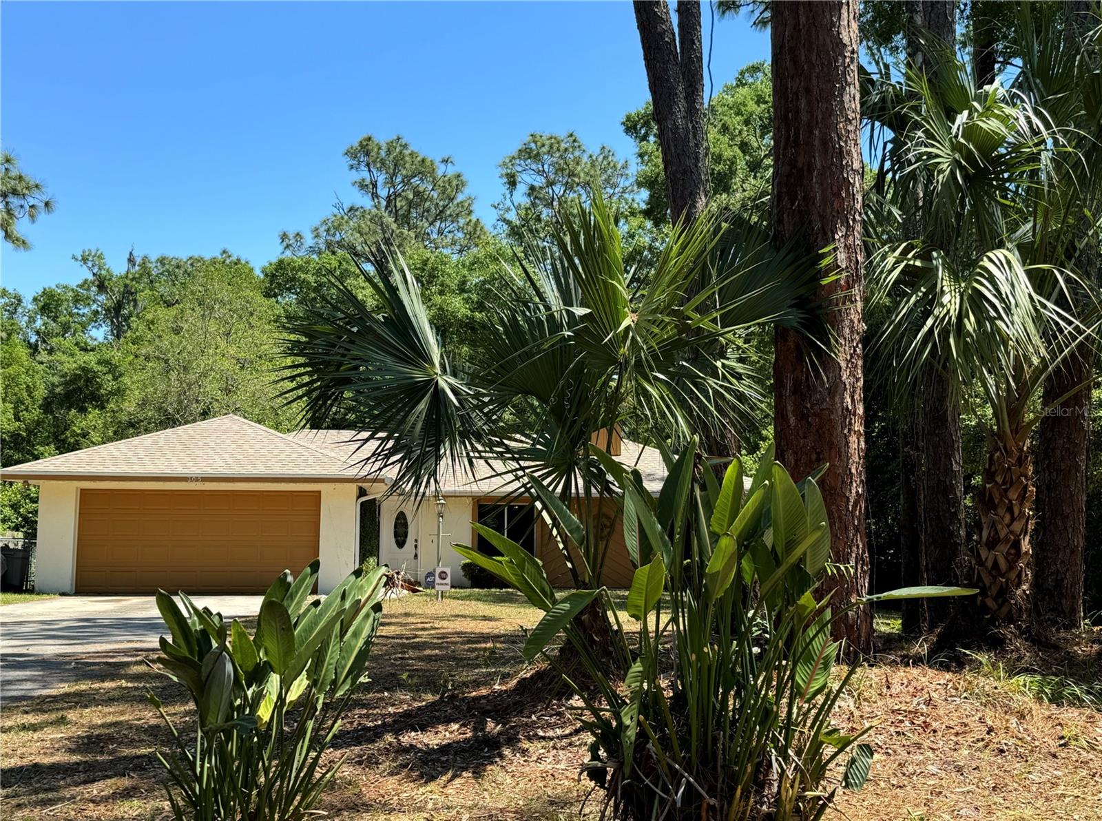 805 HEMLOCK DRIVE