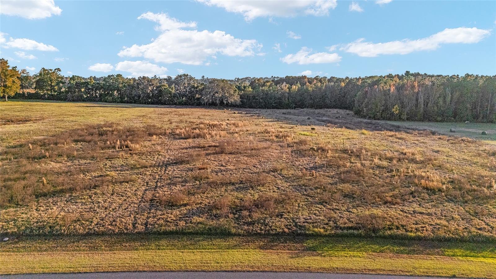 VIA PARADISUS - Land