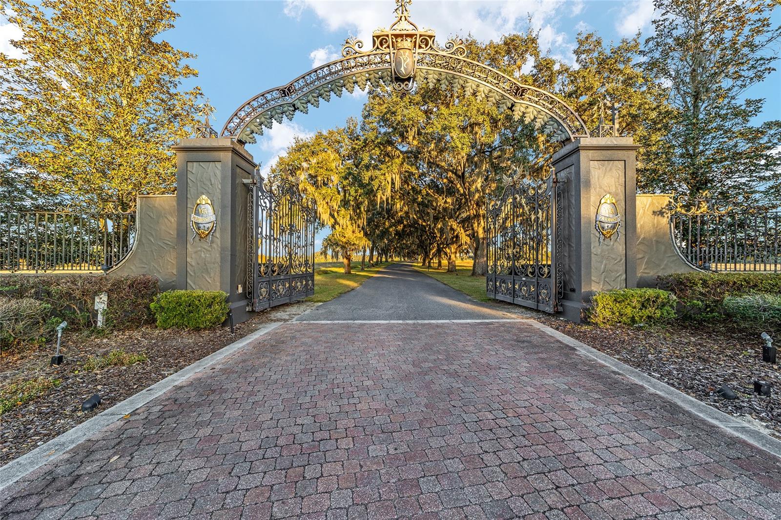 VIA PARADISUS - Land