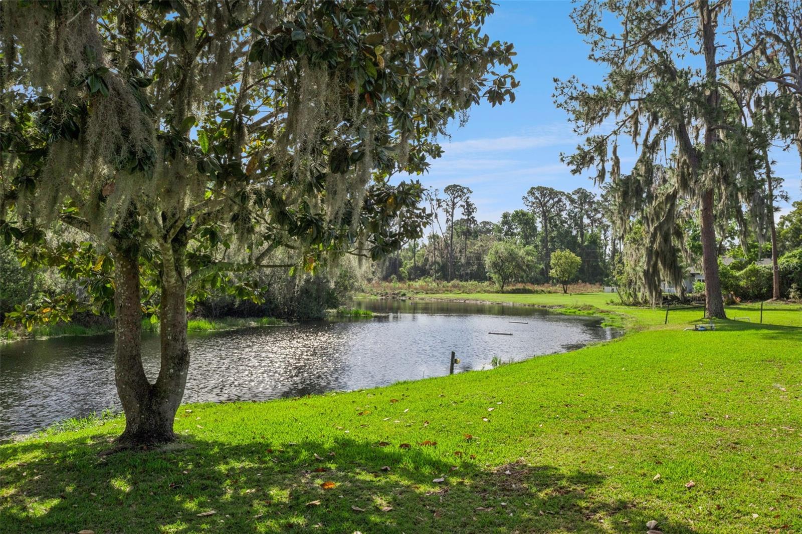 EUSTIS LAKE EUSTIS PLACE - Residential