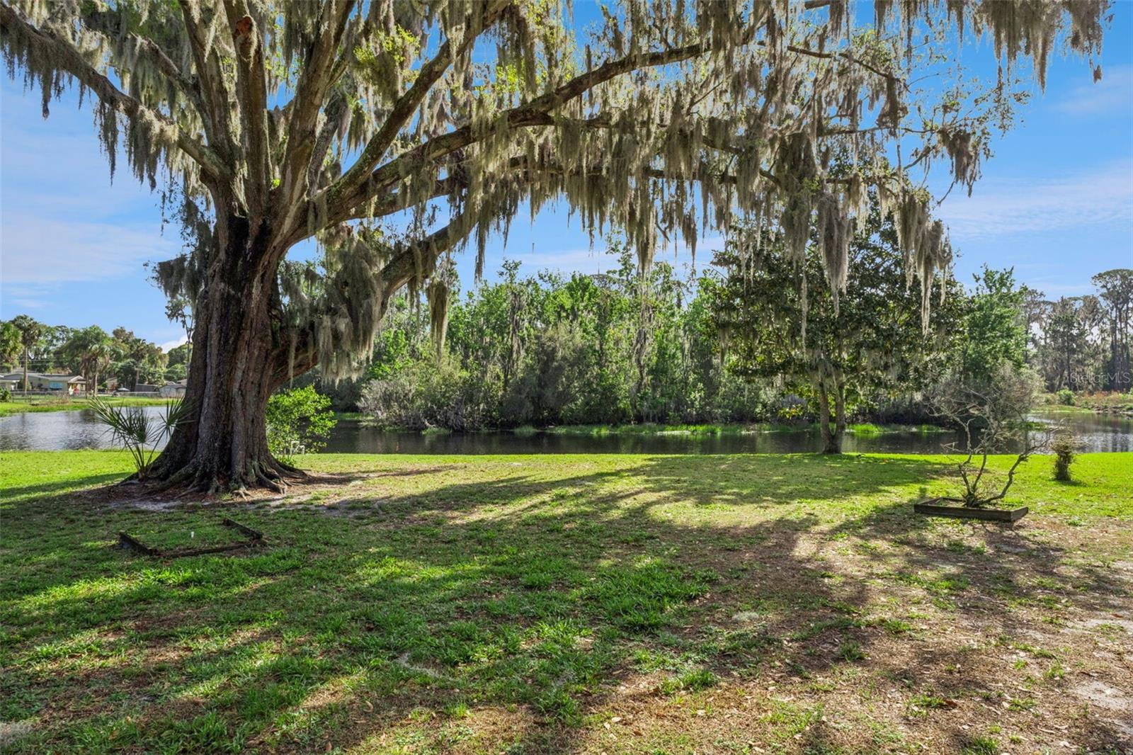 EUSTIS LAKE EUSTIS PLACE - Residential