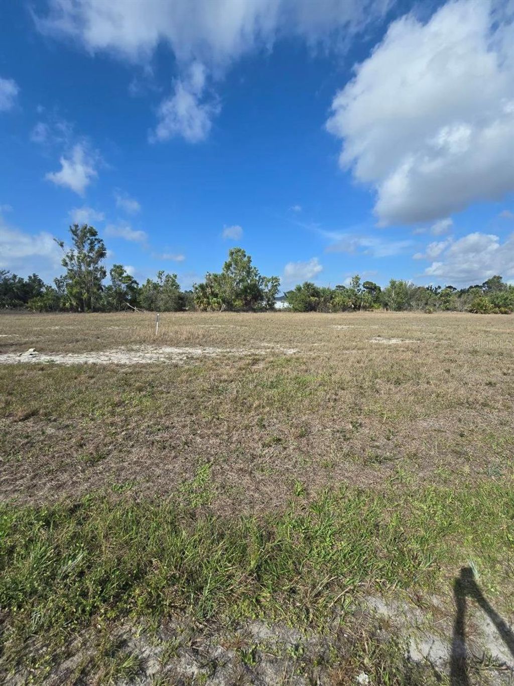 Photo of 3813 NW 46th Lane, Cape Coral, FL 33993 (MLS # TB8348352)