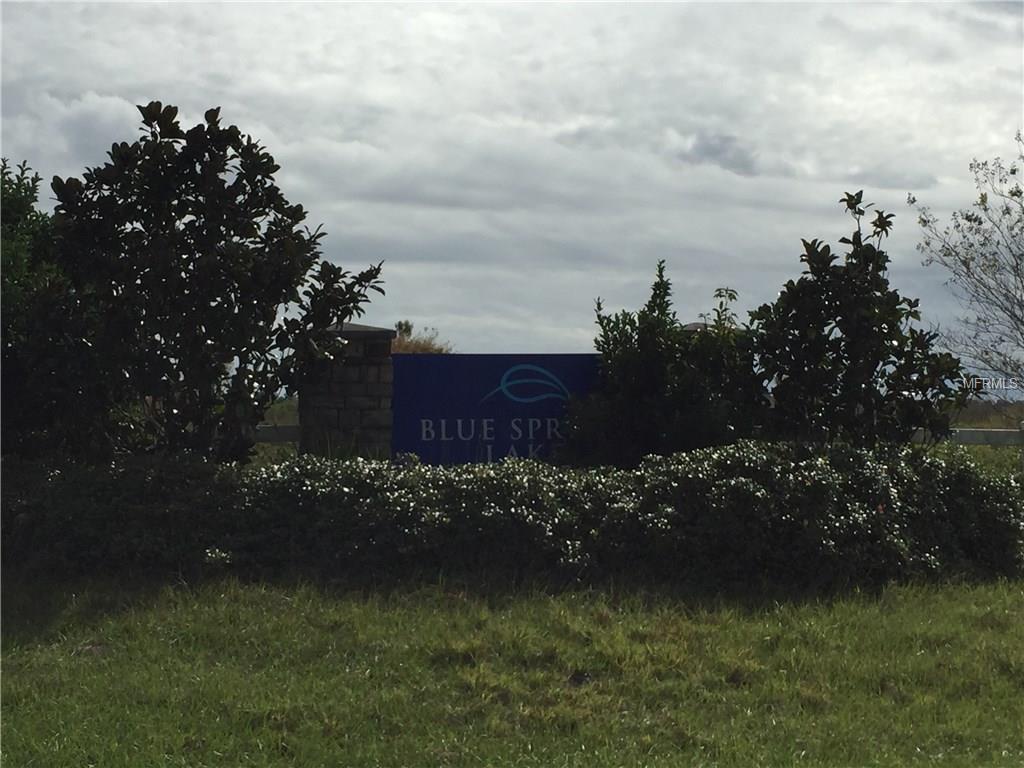 BLUE SPRING LAKE SUB - Land