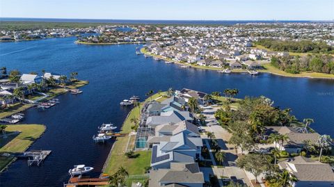 A home in APOLLO BEACH