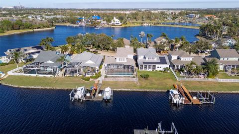 A home in APOLLO BEACH