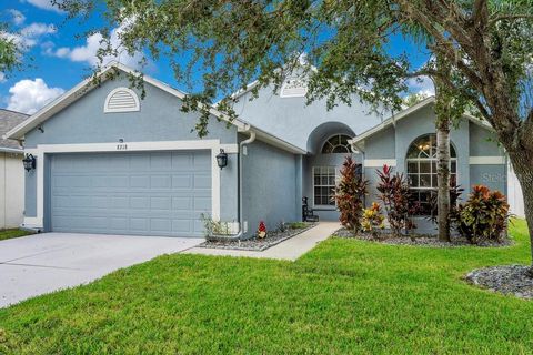 8218 CARRIAGE POINTE DRIVE GIBSONTON FL 33534
