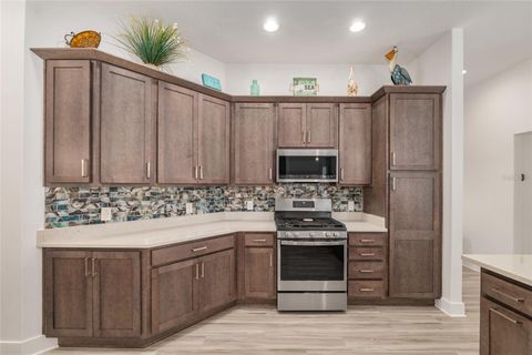 Tiny photo for 1659 Mcmurtrie Loop, The Villages, FL 34762 (MLS # G5110146)