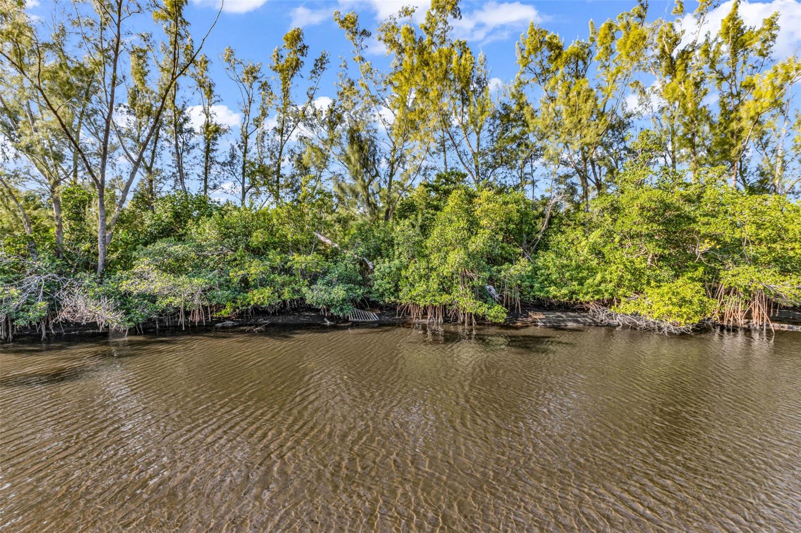 RIVER FOREST MHP - Residential