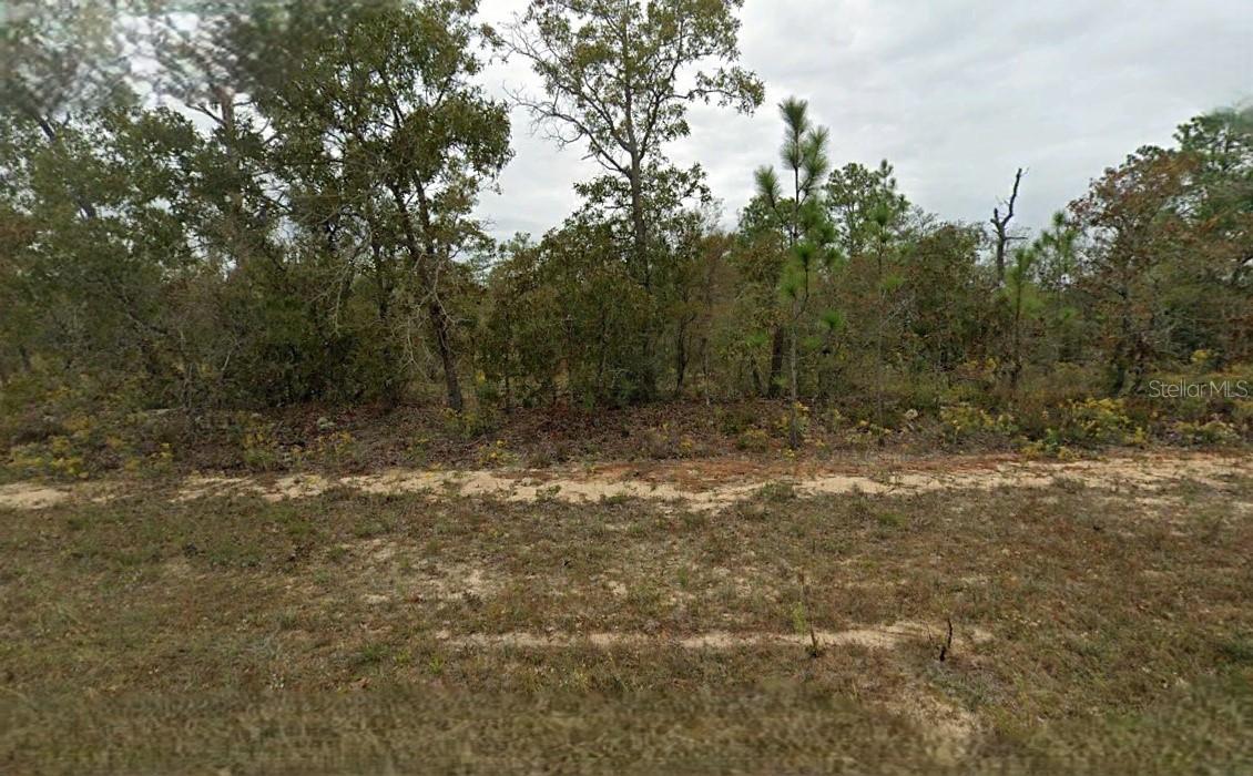Nice vacant lot. All information provided is deemed reliable but is not guaranteed and should be independently verified.