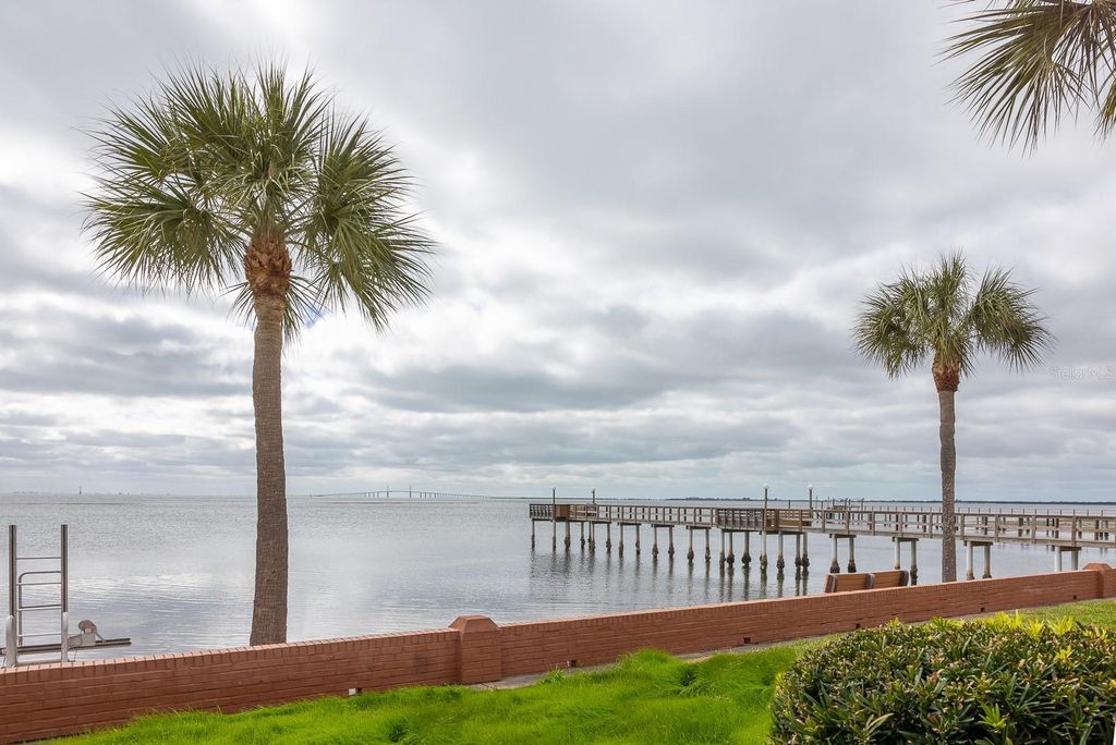 Photo of 650 Pinellas Point Drive S #211, St Petersburg, FL 33705 (MLS # TB8434301)