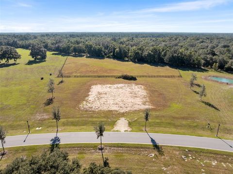 Tiny photo for 12793 SW 138th Loop, Dunnellon, FL 34432 (MLS # OM712905)