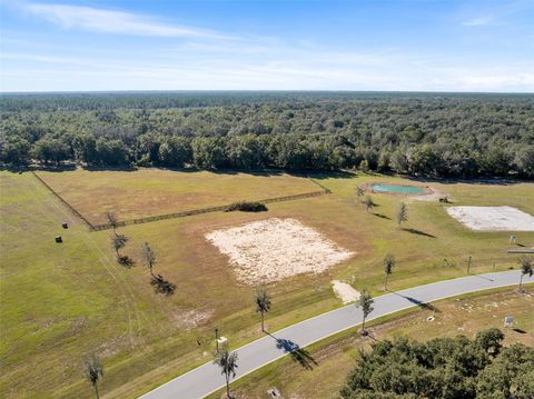 Tiny photo for 12793 SW 138th Loop, Dunnellon, FL 34432 (MLS # OM712905)