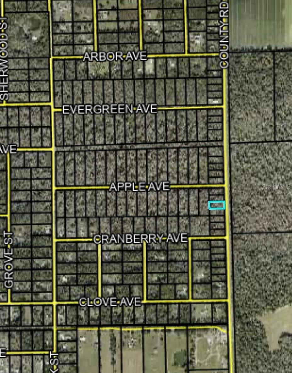 DAYTONA NORTH SUB - Land