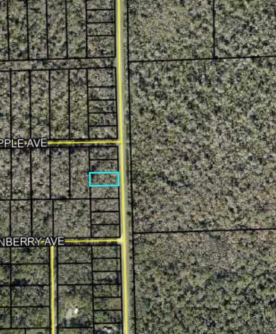 DAYTONA NORTH SUB - Land