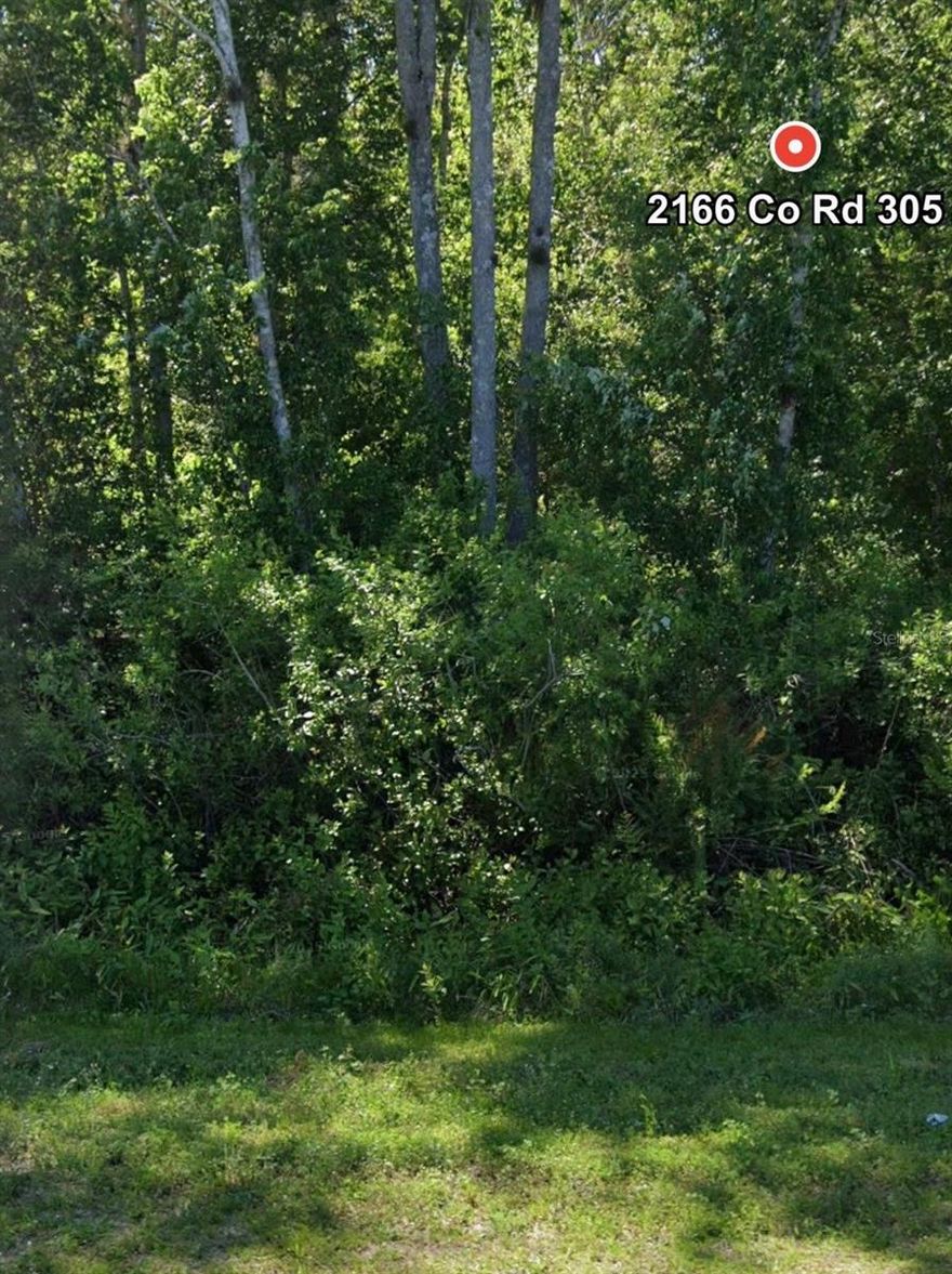 Half-Acre Country Living on Paved Road – Build or Bring Your Mobile Home!

Discover the perfect blend of privacy, freedom, and convenience with this ½-acre lot in Bunnell located directly on paved County Road 305. Whether you’re looking to build your dream home or place a manufactured home, this property offers flexible zoning and room to spread out.

Enjoy true country living with no HOA restrictions—bring your animals, boats, RVs, and all your outdoor toys! Surrounded by nature, you’ll love the peaceful setting with frequent sightings of deer and wild turkeys right in your backyard.

Outdoor enthusiasts will appreciate being just minutes from great fishing lakes and local parks, while still staying conveniently close to everything:
    •    Approx. 20 minutes to Flagler Beach 
    •    Approx. 20 minutes to St. Augustine 
    •    Approx. 20 minutes to Daytona Beach 
    •    Just over an hour to Orlando and world-famous attractions

The front portion of the lot is located in an X flood zone per FEMA maps (buyer to verify), offering added peace of mind.

Key Details:
    •    ½ Acre Lot
    •    Zoned for Site-Built or Manufactured Home
    •    Paved Road Access
    •    No HOA
    •    Well & Septic Needed
    •    Buyer to Perform Due Diligence on Buildability, Zoning, and Utilities

If you’re looking for affordable land with flexibility and a great location, this is it. Secure your slice of Florida country living today!