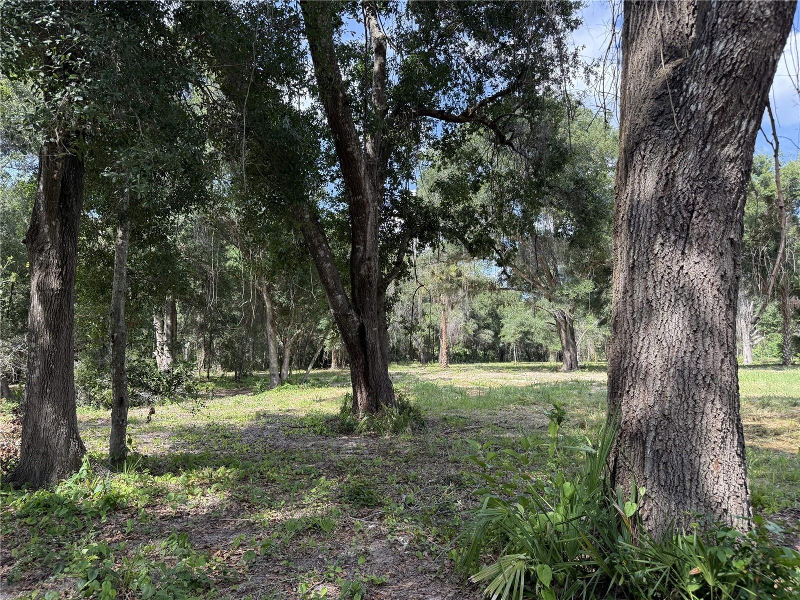 620 COCHRAN ROAD