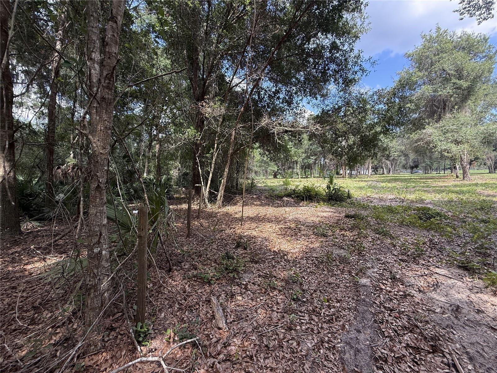 620 COCHRAN ROAD