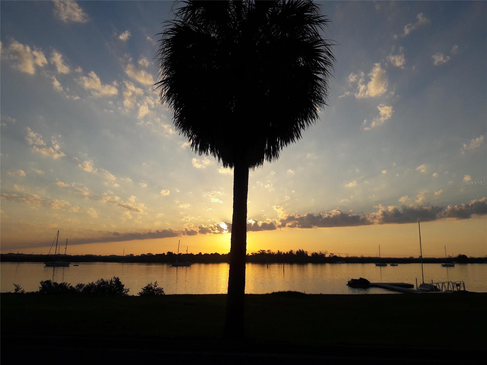 Cavedo Add New Smyrna - Residential Lease