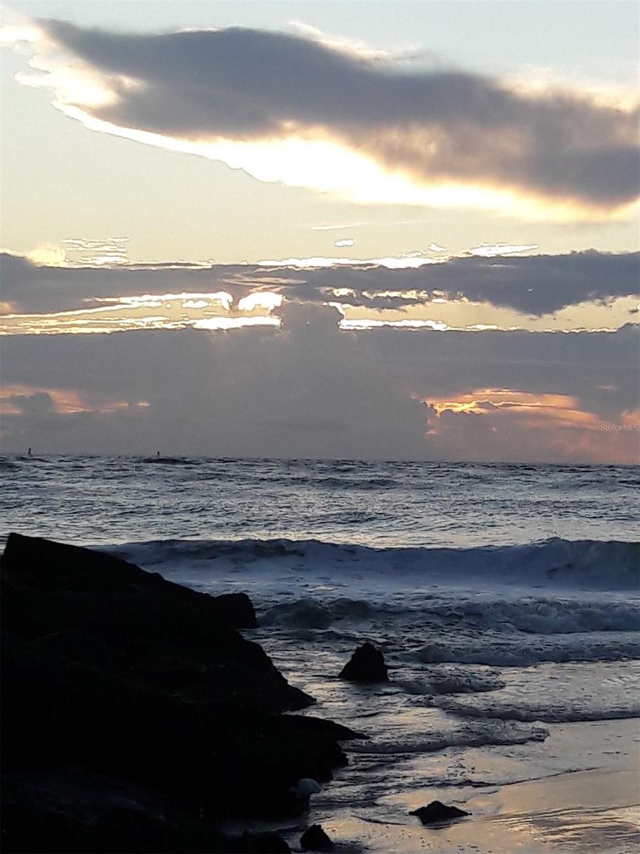 Cavedo Add New Smyrna - Residential Lease