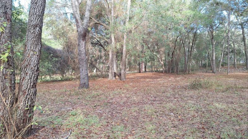 CITRUS HILLS - Residential