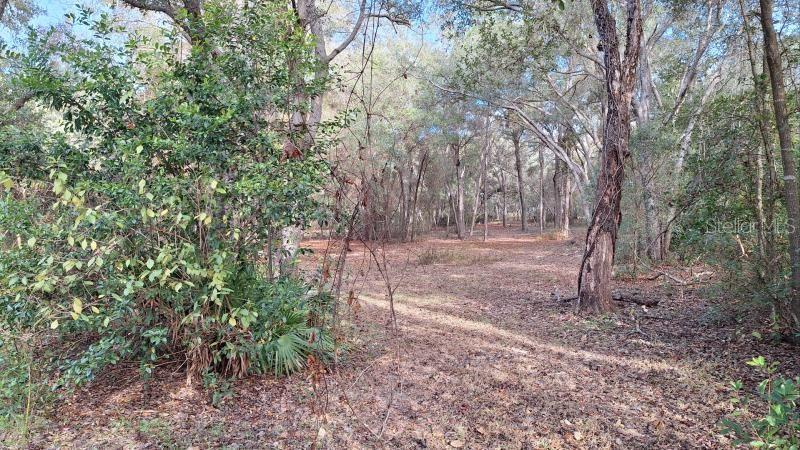 CITRUS HILLS - Residential