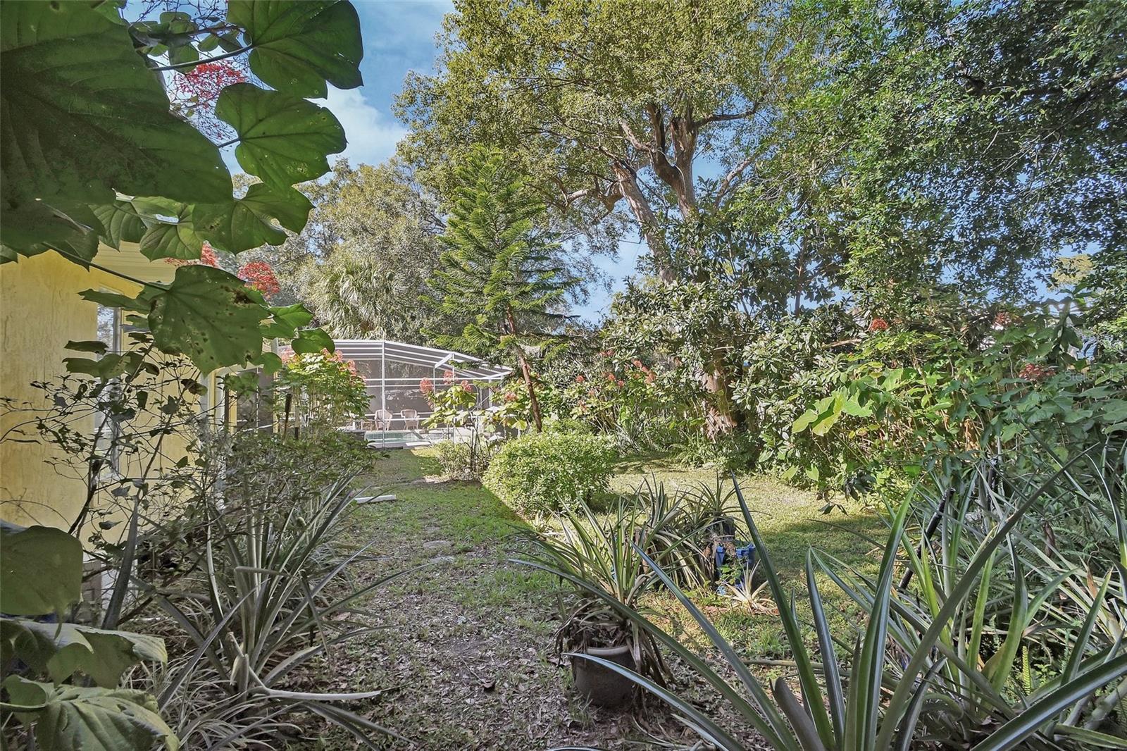 EUCLID PARK - Residential