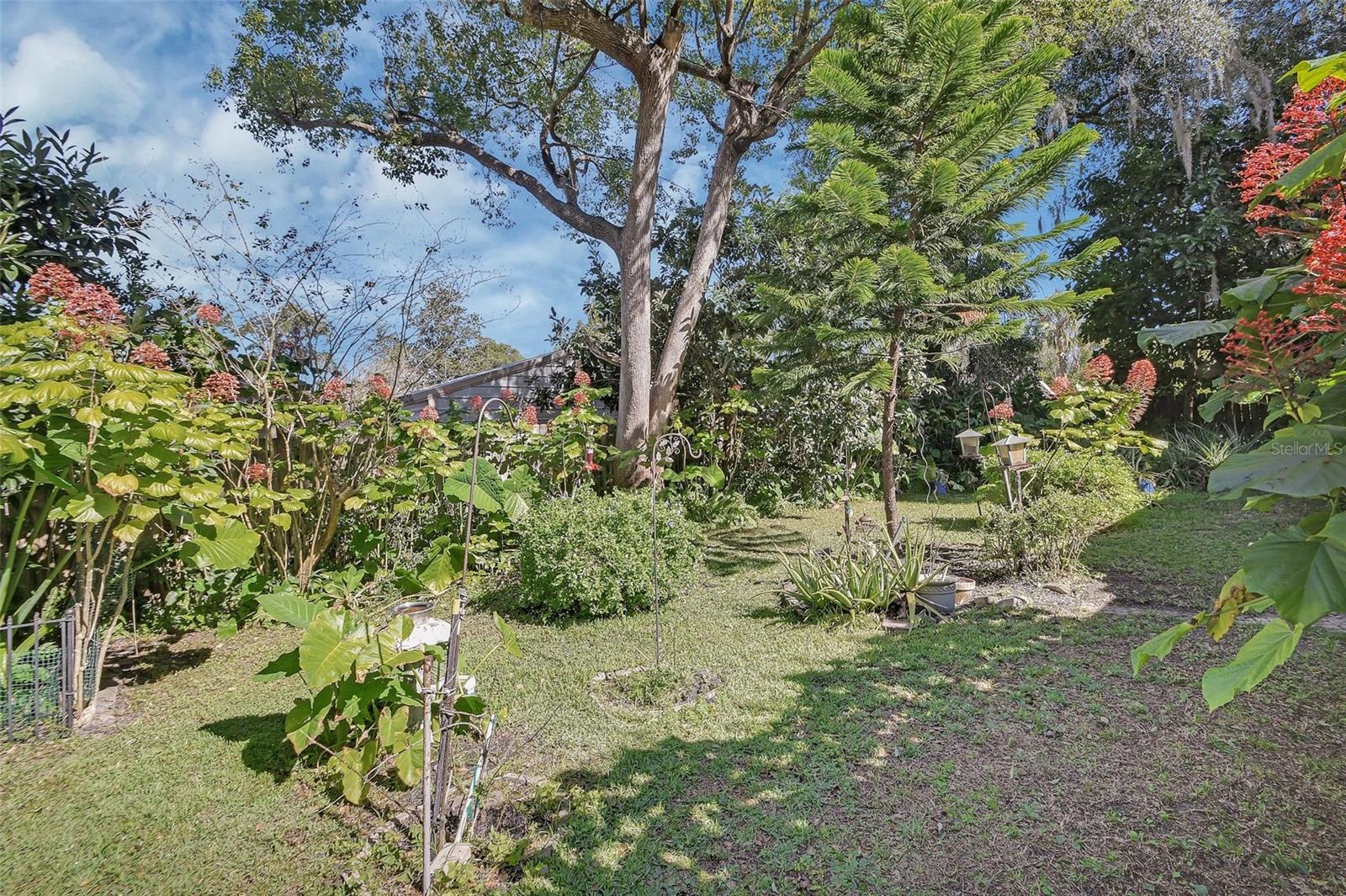 EUCLID PARK - Residential