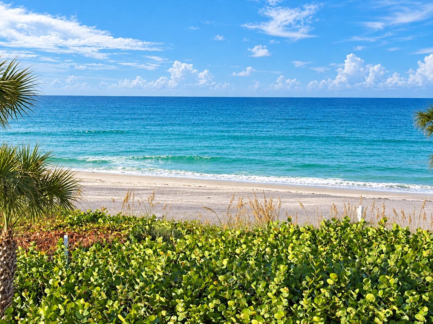5055 GULF OF MEXICO DRIVE 532
