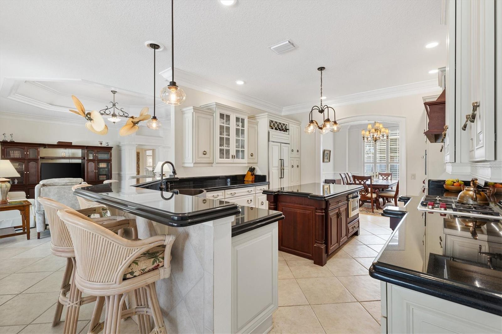 VILLAGES OF SUMTER - Residential