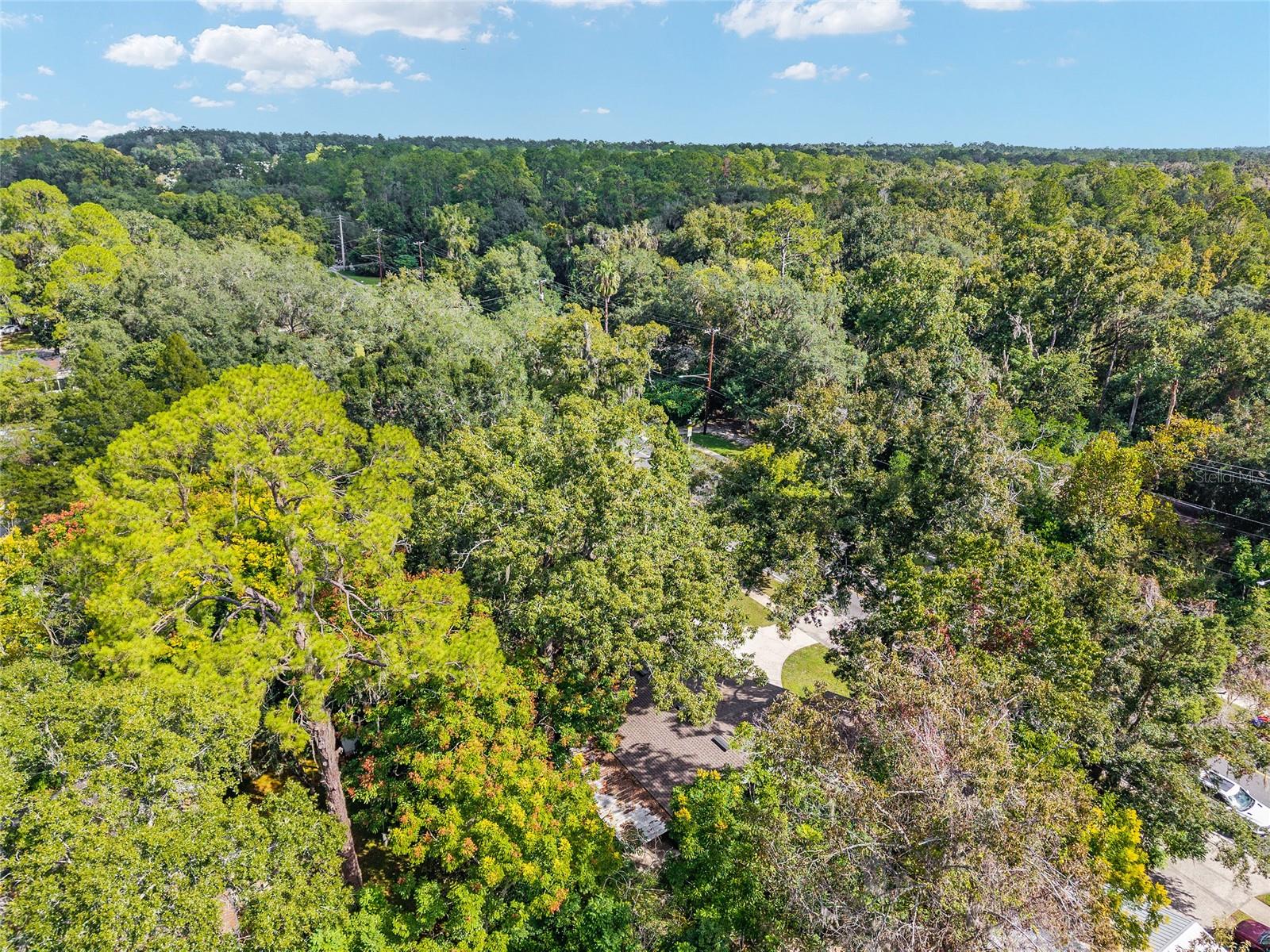 WOODLAND TERRACE - Residential