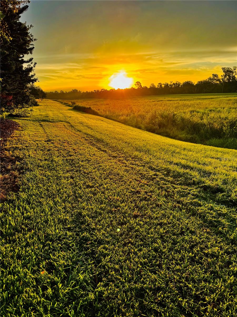 FISHHAWK RANCH WEST PH 1B/1C - Residential