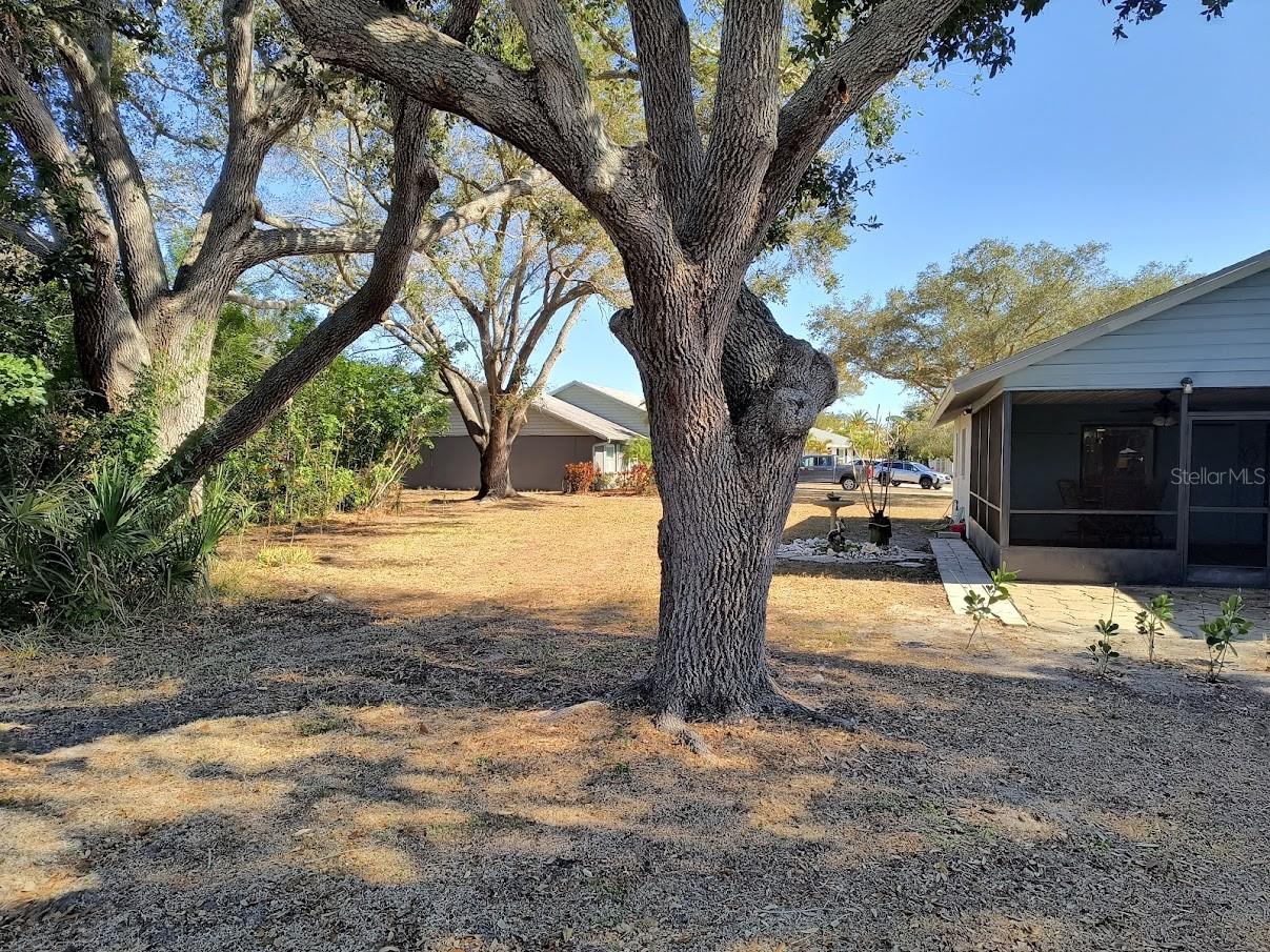 CHESTNUT CREEK ESTATES - Residential