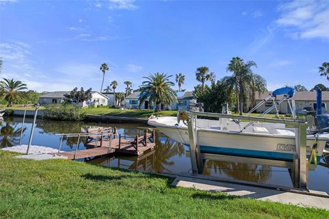 A home in PORT RICHEY