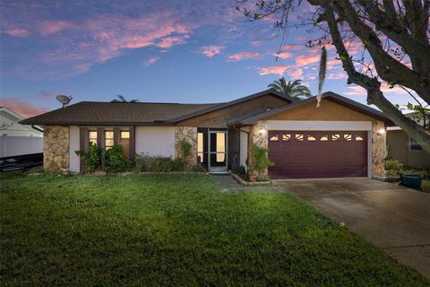 A home in PORT RICHEY