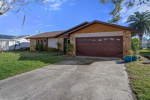 A home in PORT RICHEY