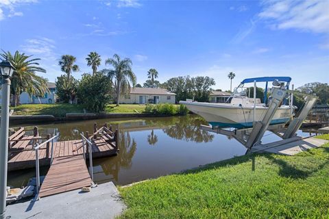 A home in PORT RICHEY