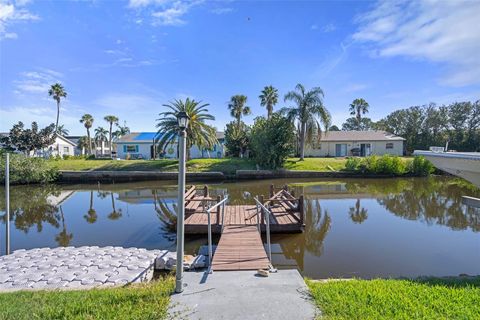 A home in PORT RICHEY