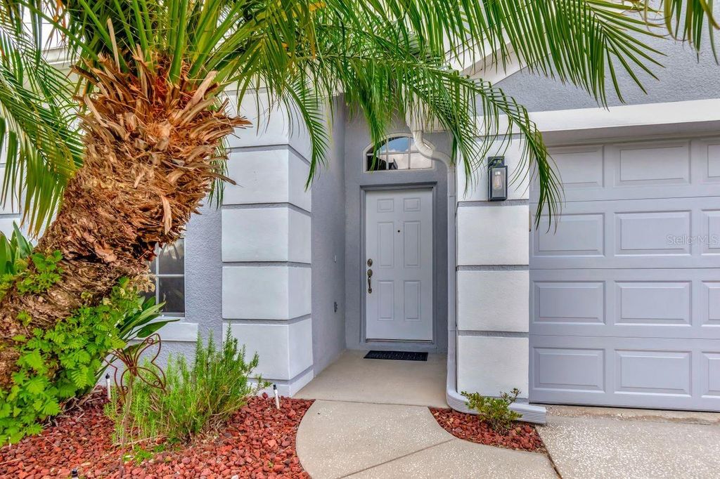 Photo of 2823 Banyan Hill Lane, Land O Lakes, FL 34639 (MLS # TB8383052)