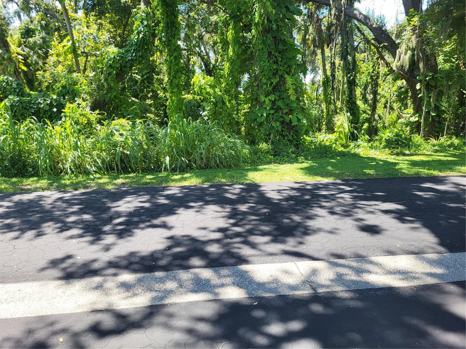 TERRA SIESTA MOBILE HOME PARK CO-OP - Residential