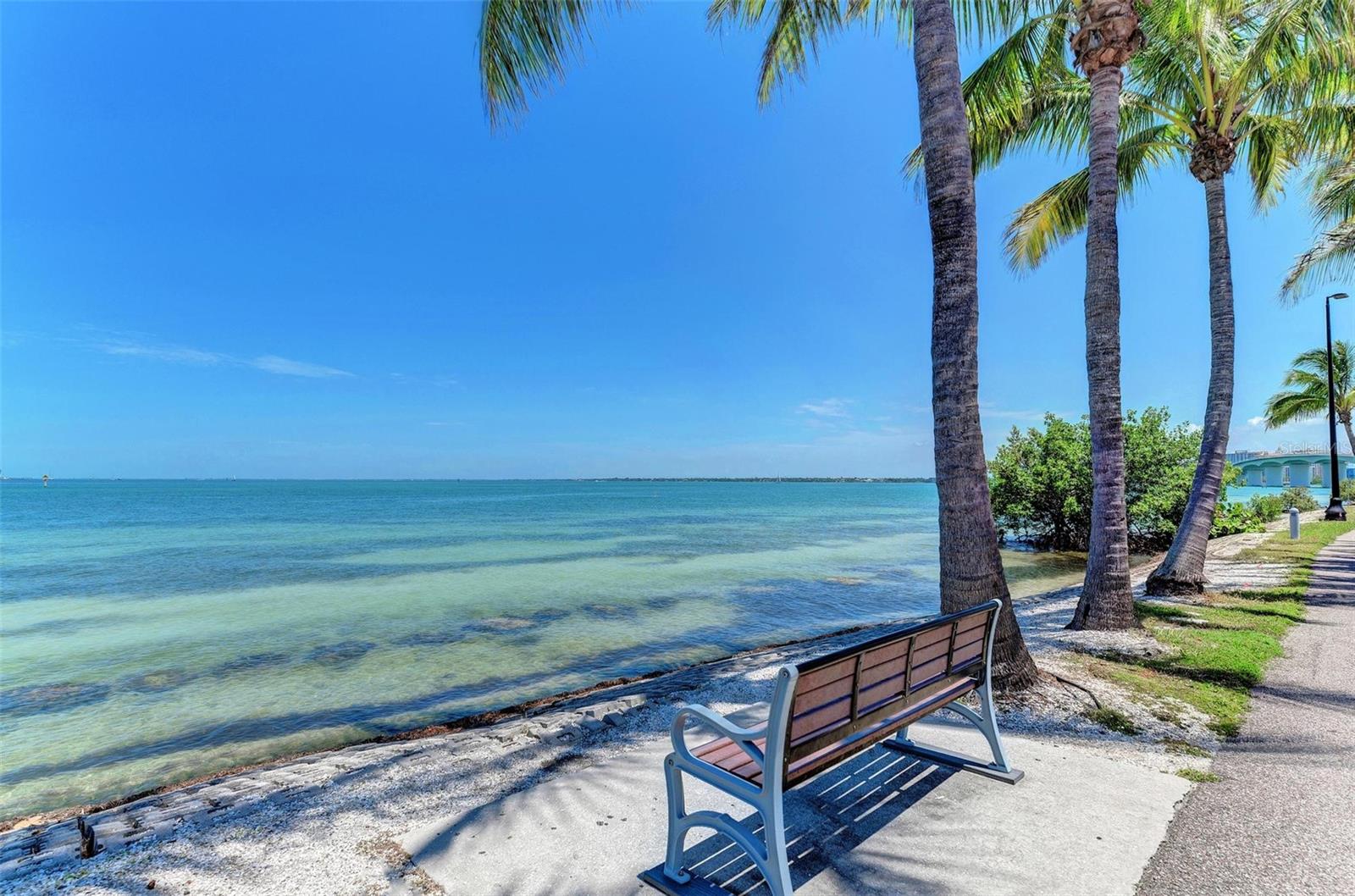 LIDO SHORES - Residential Lease