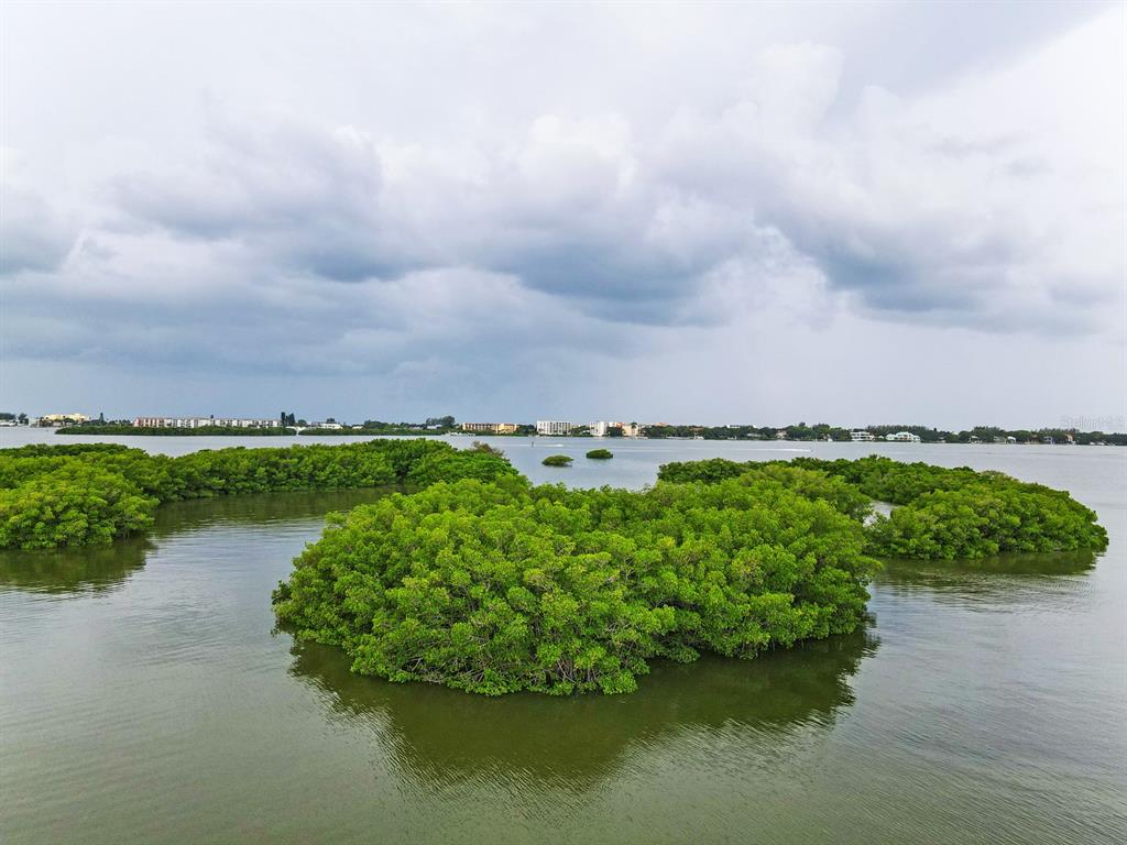 PELICAN COVE VII - Residential