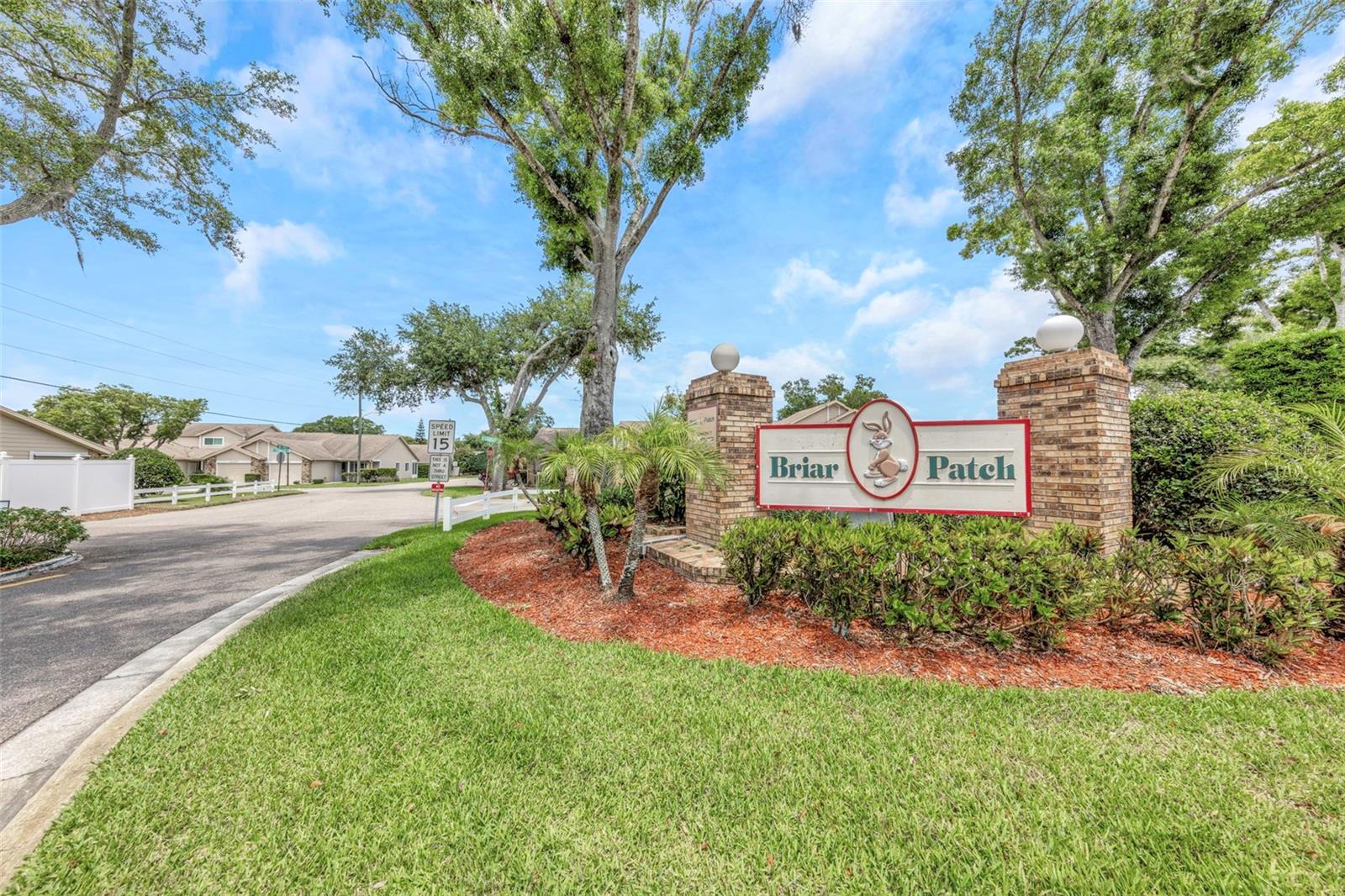BRIAR PATCH - Residential