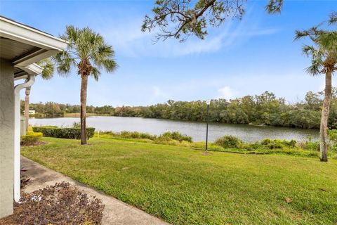 A home in ORLANDO