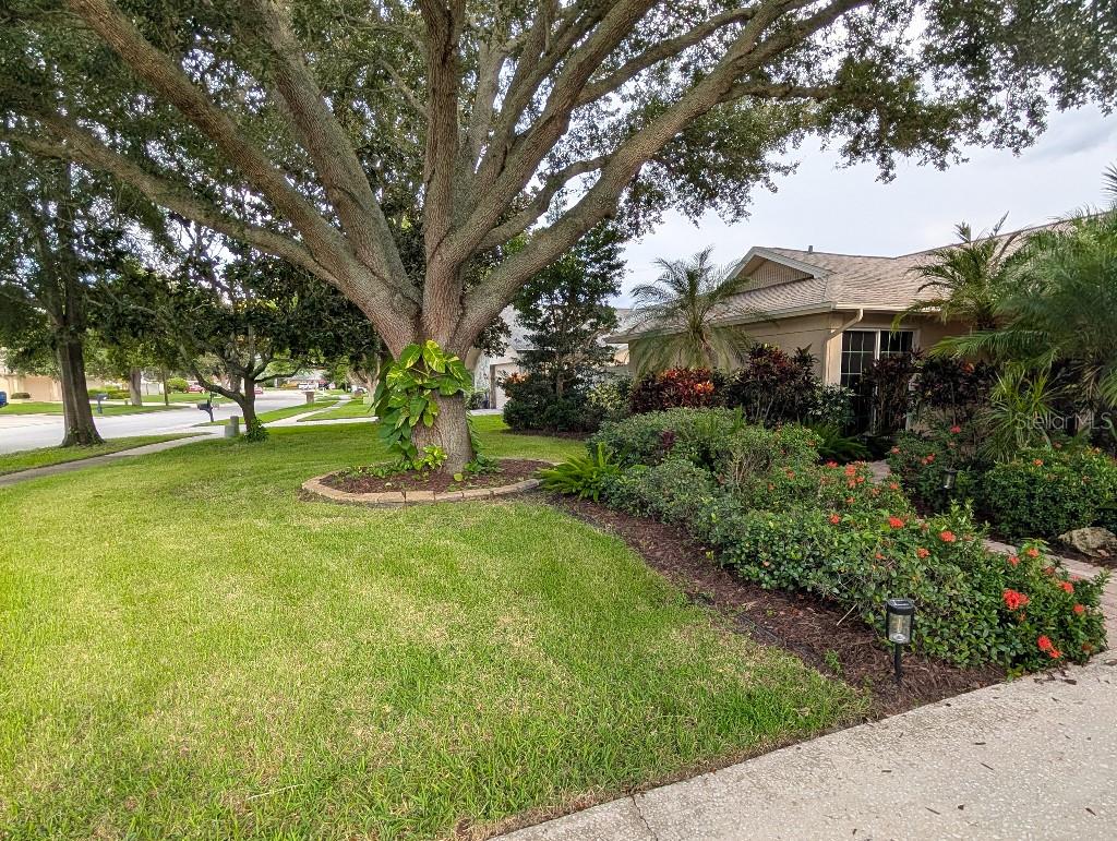 2673 MONTAGUE COURT W