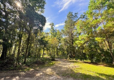 Tiny photo for 00 Clayton Road, Cedar Key, FL 32625 (MLS # OM716937)