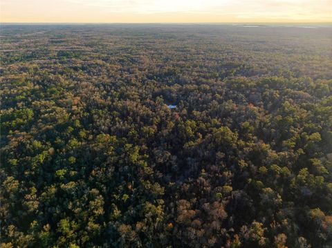 Tiny photo for 00 Clayton Road, Cedar Key, FL 32625 (MLS # OM716937)