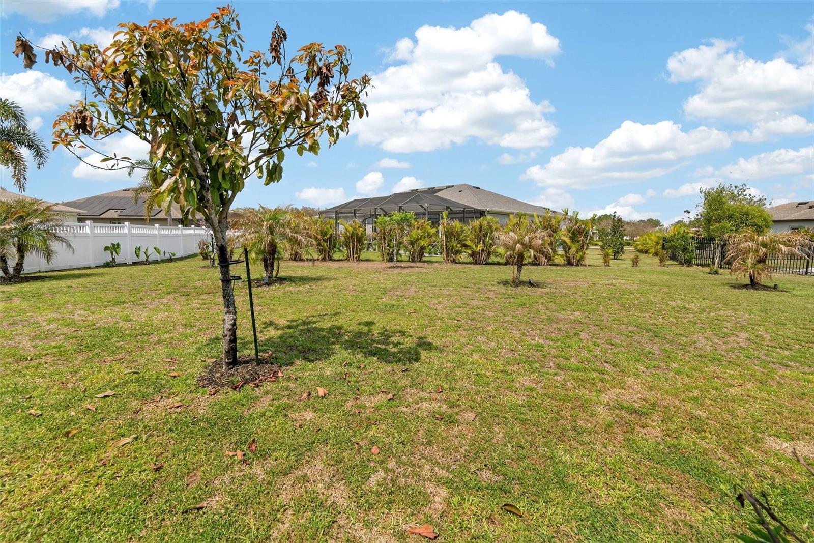 LA PALOMA VILLAGE UNIT 2 PH - Residential