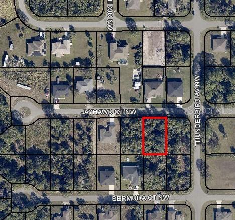 Nice high and dry vacant lot waiting for a new home, close to shopping, schools and other local amenities. Easy access to Interstate 95 and other major roads.